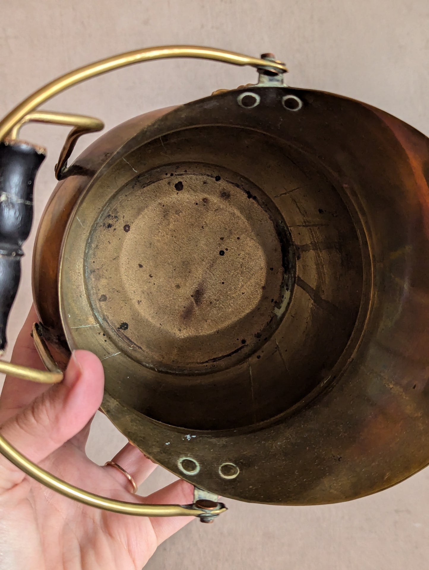 Lion Brass Coal Scuttle Planter Pot