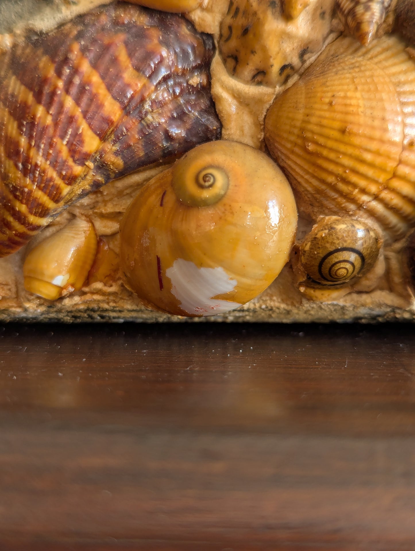 Large Victorian Shell Encrusted Storage Box