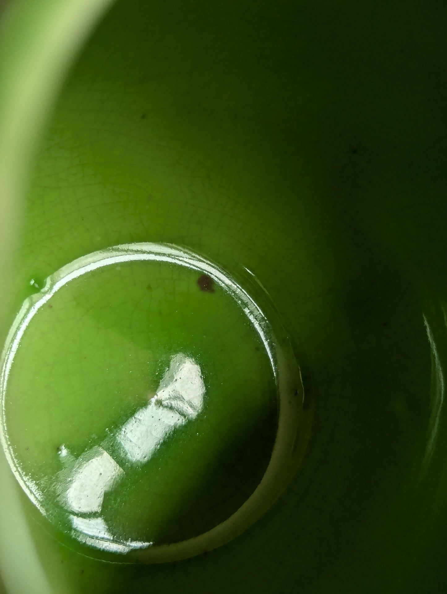 Sadler Lime Green Spongeware Ceramic Creamer