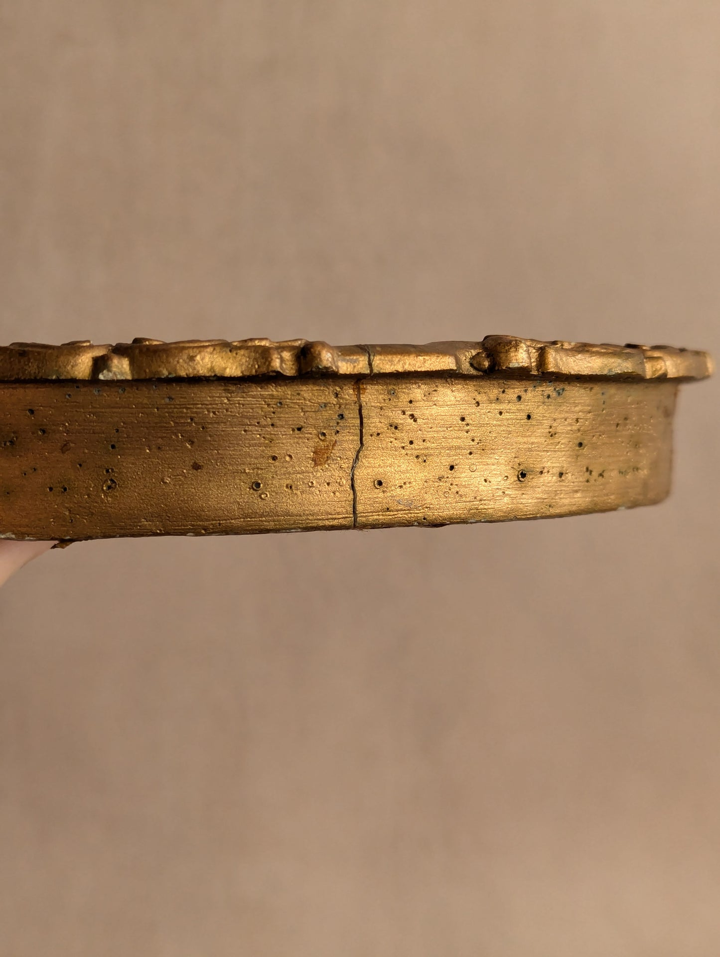 Ornate Portrait in Golden & Velvet Gilt Frame