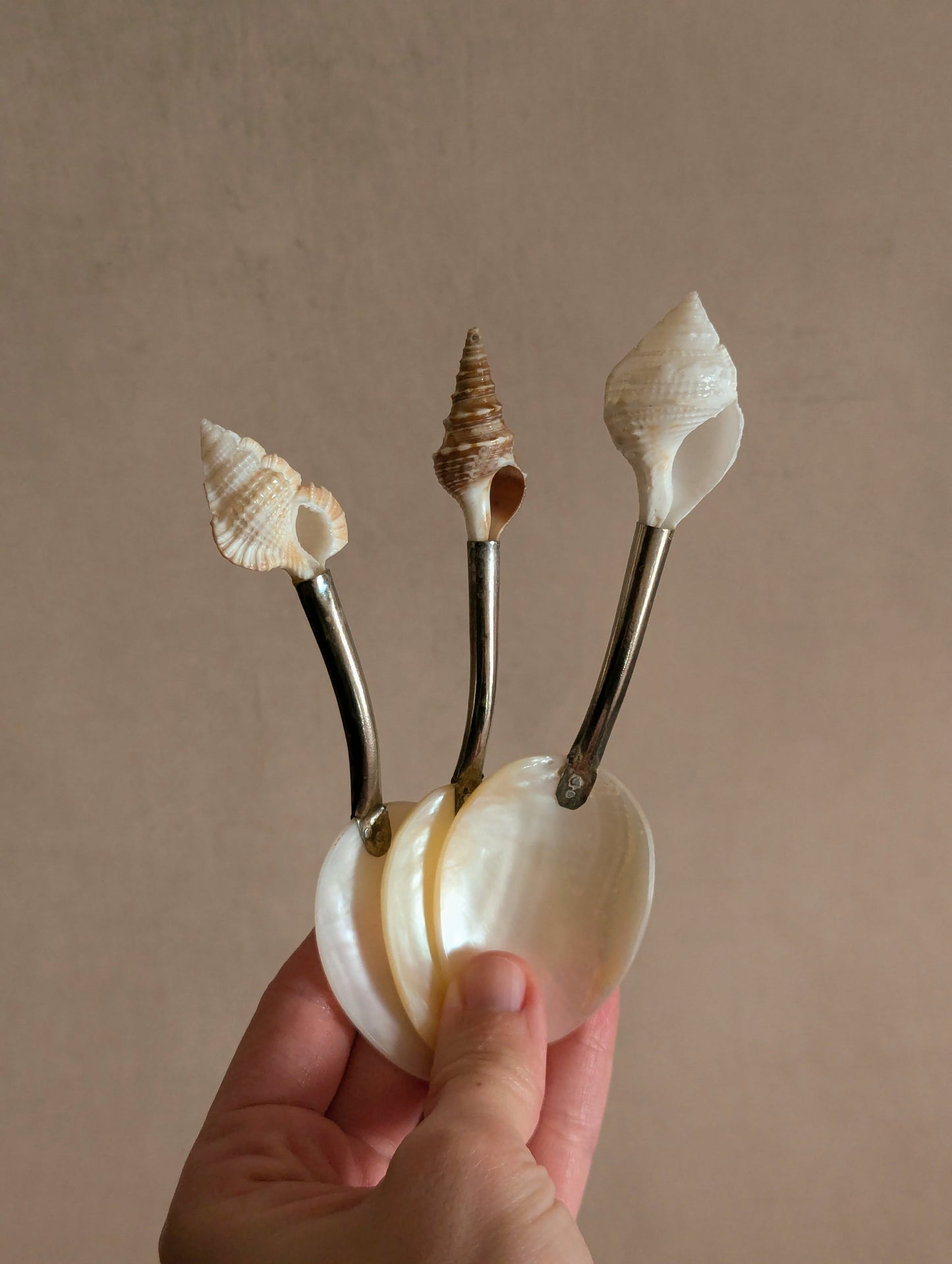 Mother of Pearl Caviar Shell Spoons, Set of Seven