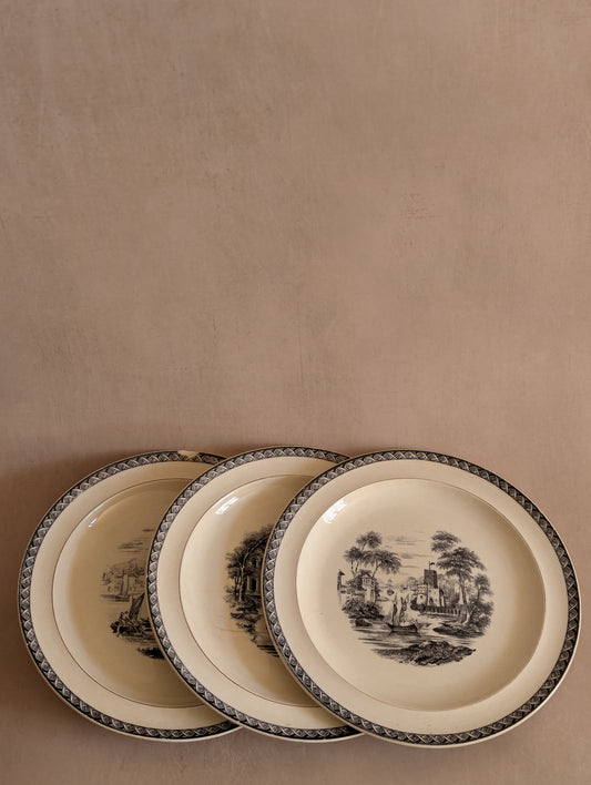 Antique 19th Century Wedgwood Dinner Plates - Set of Three