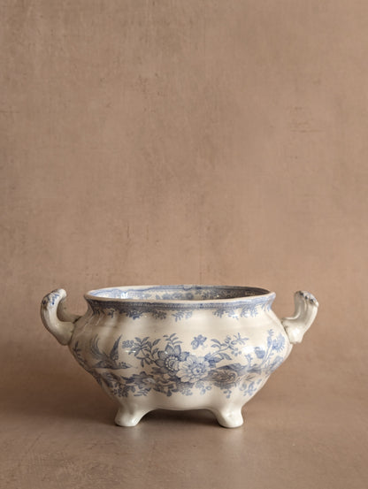Antique Small Asiatic Pheasants Pale Blue Tureen