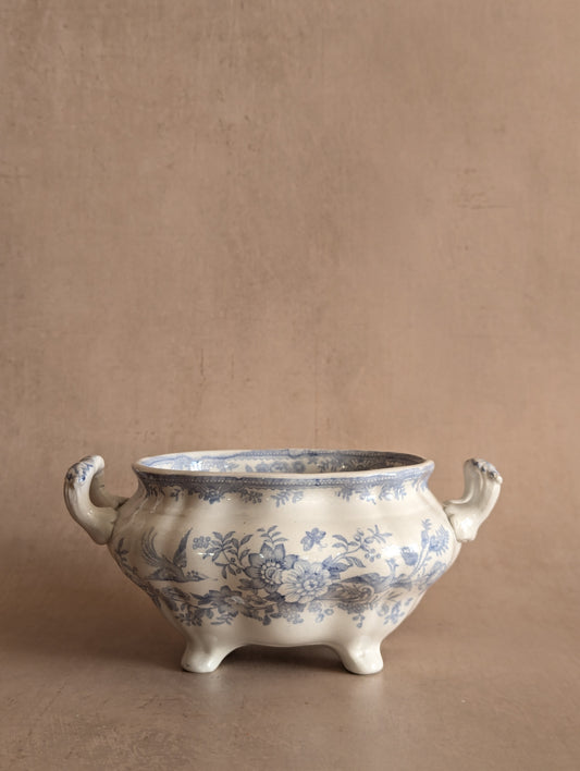 Antique Small Asiatic Pheasants Pale Blue Tureen