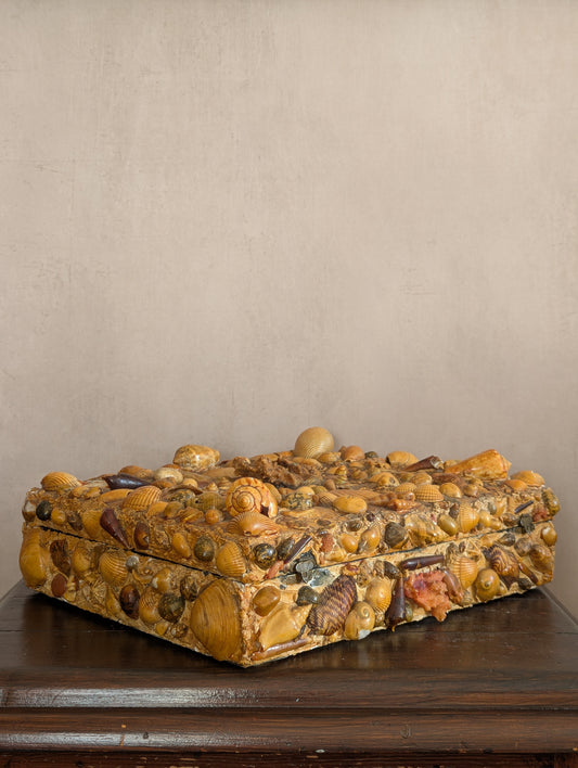 Large Victorian Antique Shell Encrusted Storage Box