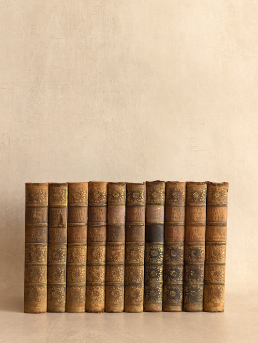 Sir Walter Scott, Miscellaneous Prose Works Collection, 1849, Set of 10 Antique Books from the 19th century