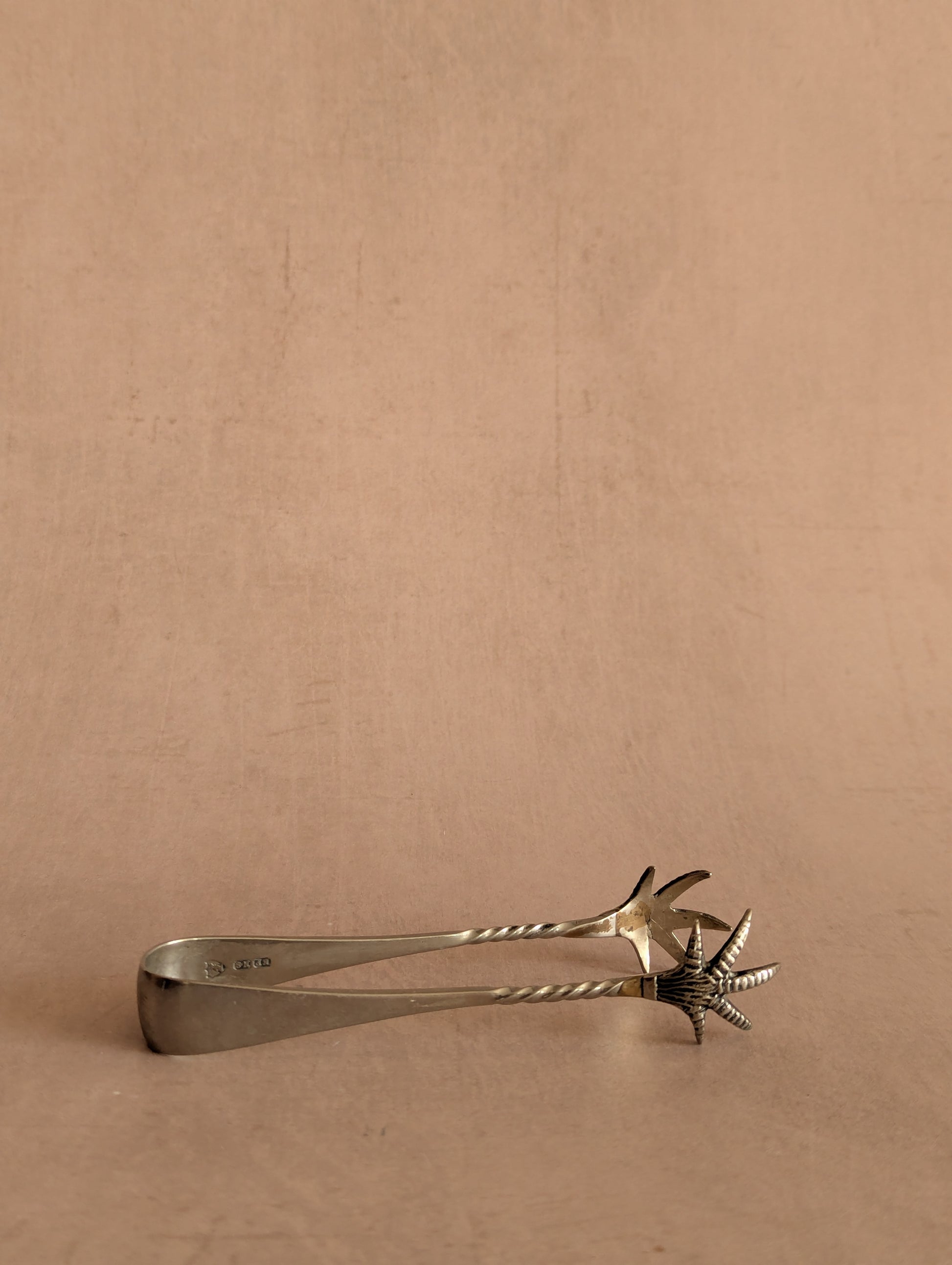 Vintage Silver Plated EPNS Bird Claw Sugar Tongs