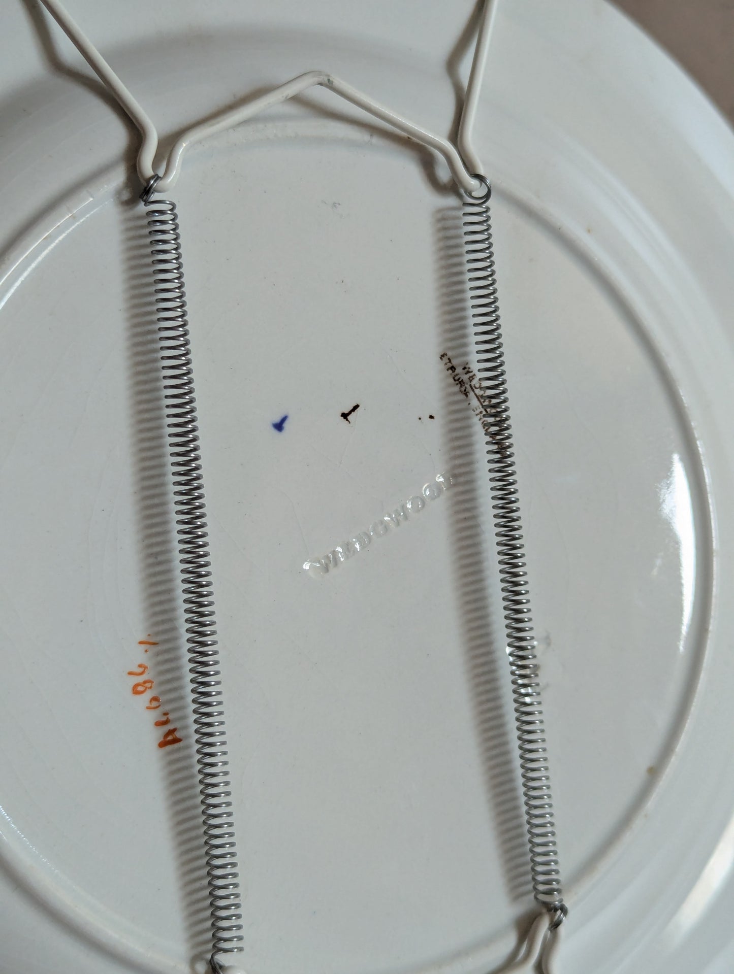 Wedgwood Hand-Painted Polychrome Enamel Wall Plate