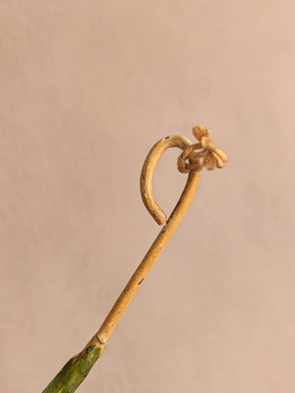 Italian Toleware Daisy Flower Large Candle Snuffer
