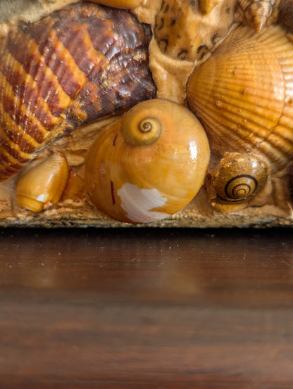 Large Victorian Shell Encrusted Storage Box