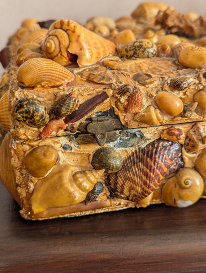 Large Victorian Shell Encrusted Storage Box