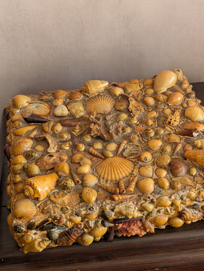Large Victorian Shell Encrusted Storage Box