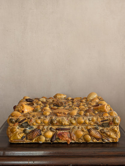 Large Victorian Shell Encrusted Storage Box