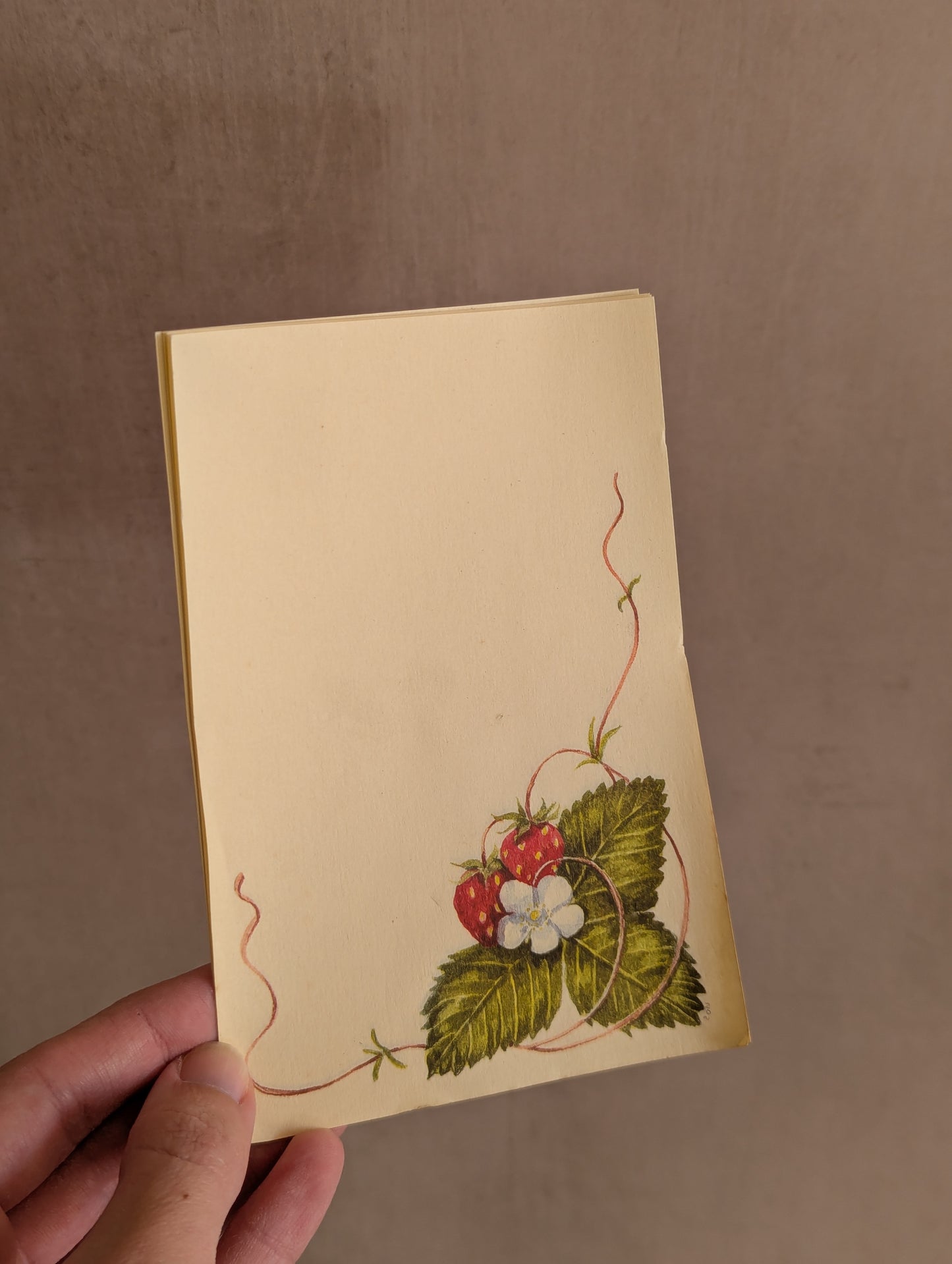 Strawberry Lacquered Paper Mache Notepad Set
