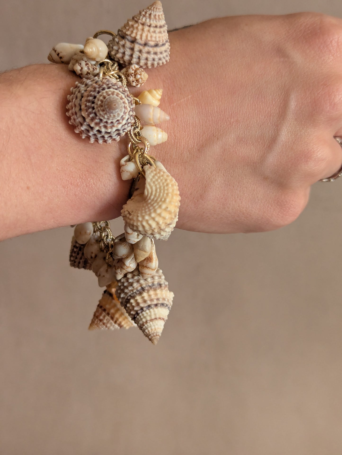 Liliana Natural Shell Charm Bracelet