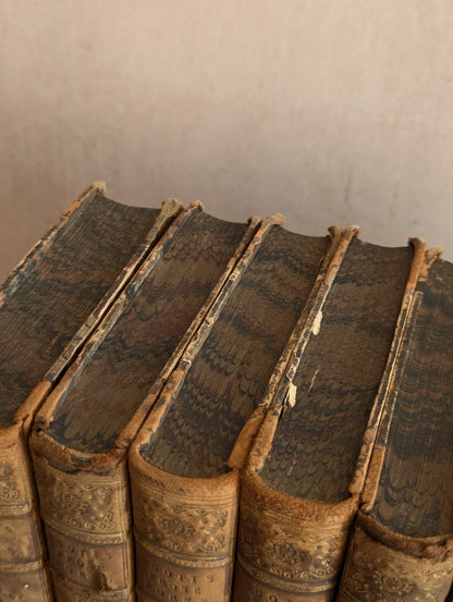 Sir Walter Scott, Miscellaneous Prose Works Collection, 1849, Set of 10