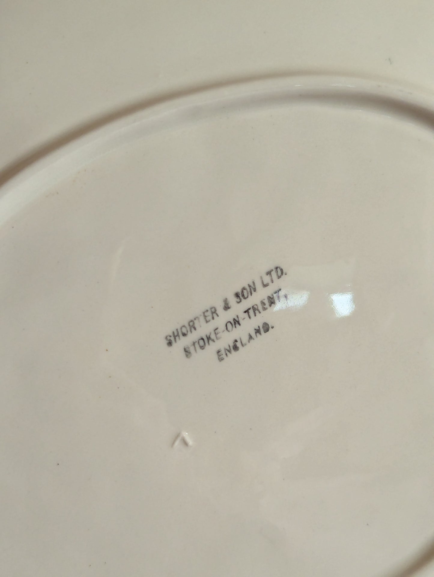 Mid-Century Shorter & Son Blue Ceramic Fish Plate