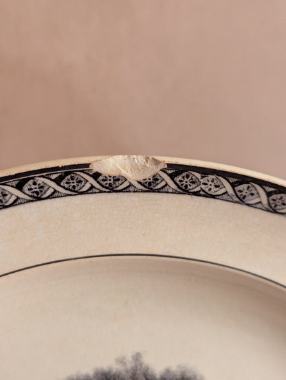 19th Century Wedgwood Dinner Plates - Set of Three