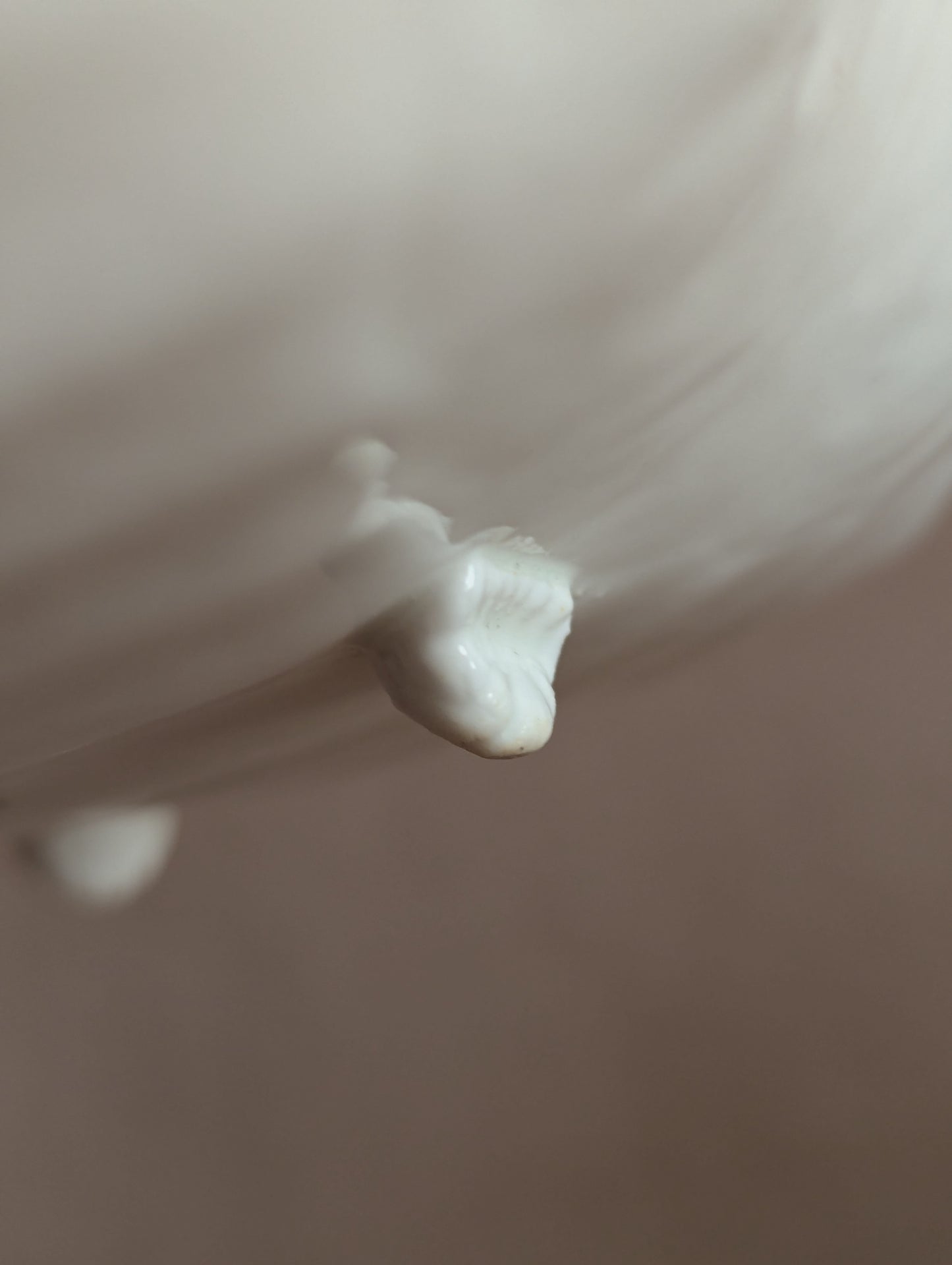 White Aynsley Ceramic Footed Shell Dish