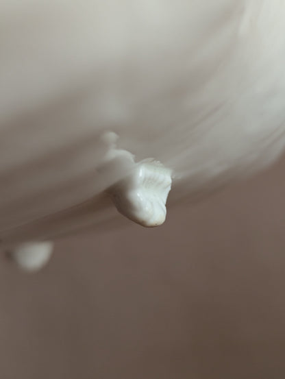 White Aynsley Ceramic Footed Shell Dish