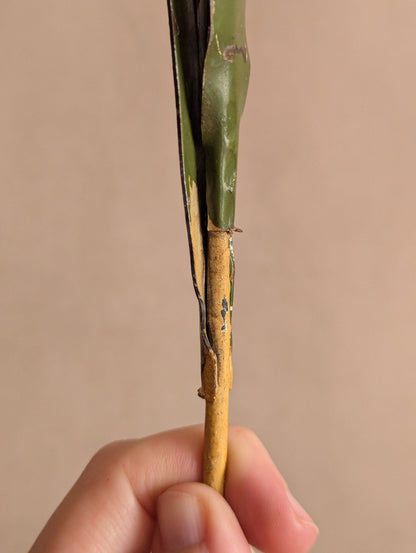 Italian Toleware Daisy Flower Large Candle Snuffer