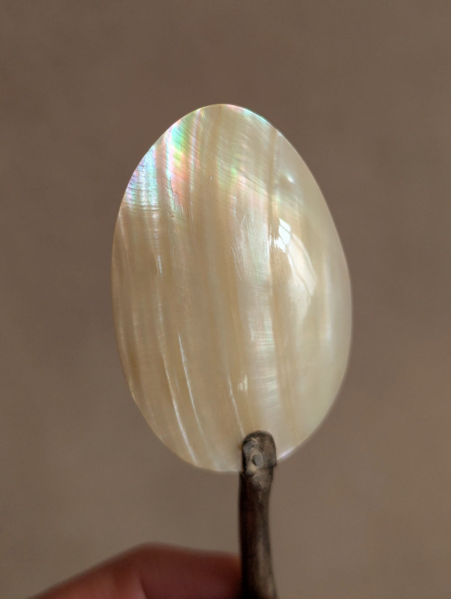 Mother of Pearl Caviar Shell Spoons, Set of Seven