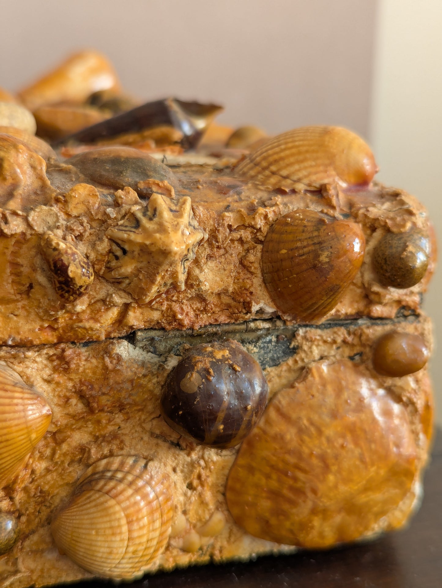 Large Victorian Shell Encrusted Storage Box