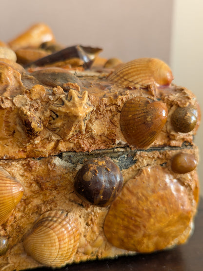 Large Victorian Shell Encrusted Storage Box